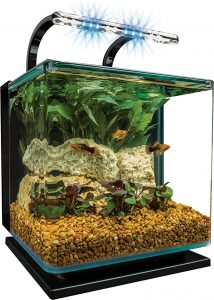 best-3-gallon-fish-tank