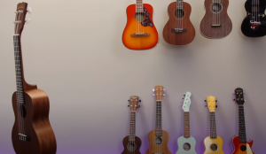 best-ukulele-brands
