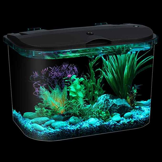 The Best 5 Gallon Aquarium for 2023 bh 30